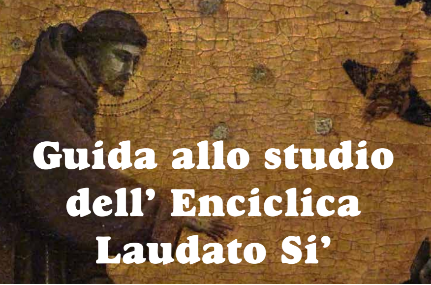 Al momento stai visualizzando Lettera e Guida “Laudato Si” del Ministro Generale Tibor Kauser